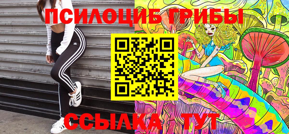 Галлюциногенные грибы Psilocybine cubensis Тосно