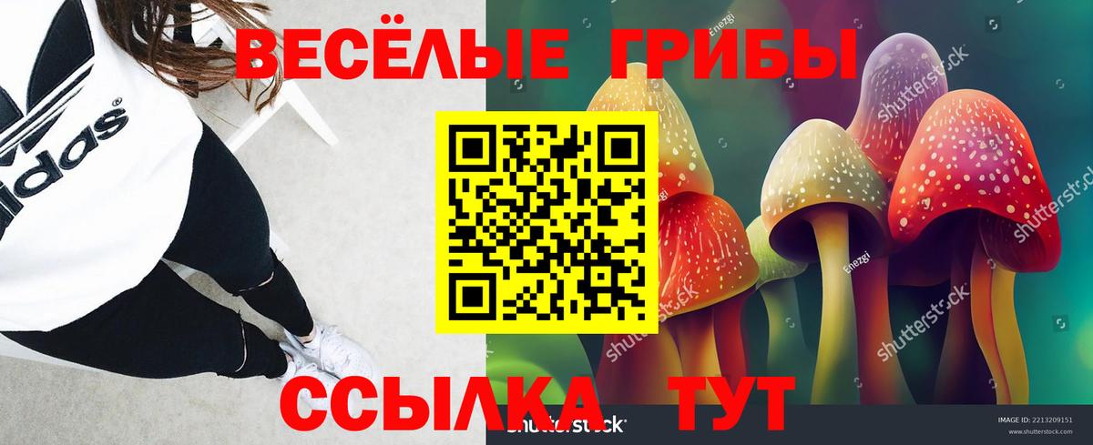 Псилоцибиновые грибы MAGIC MUSHROOMS Тосно