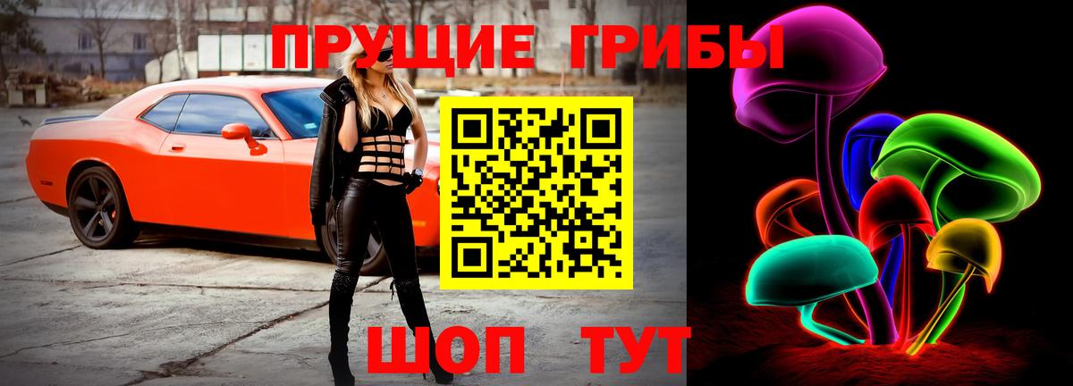 закладки  Галлюциногенные грибы прущие грибы  Галлюциногенные грибы прущие грибы  Вход с VPN  Тосно 